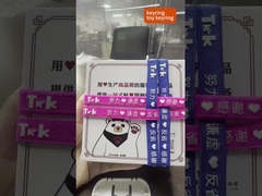 Öko-freundliche persönliche Werbegeschenke 3d Schlüsselringe beliebige Farbe