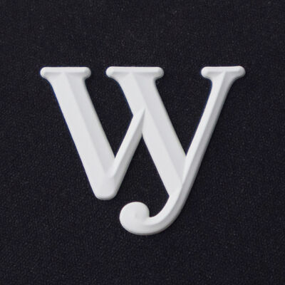 3D Molded Silicone Heat Transfer Label - Custom Logo Emblem for Fashion Apparel & Accessories